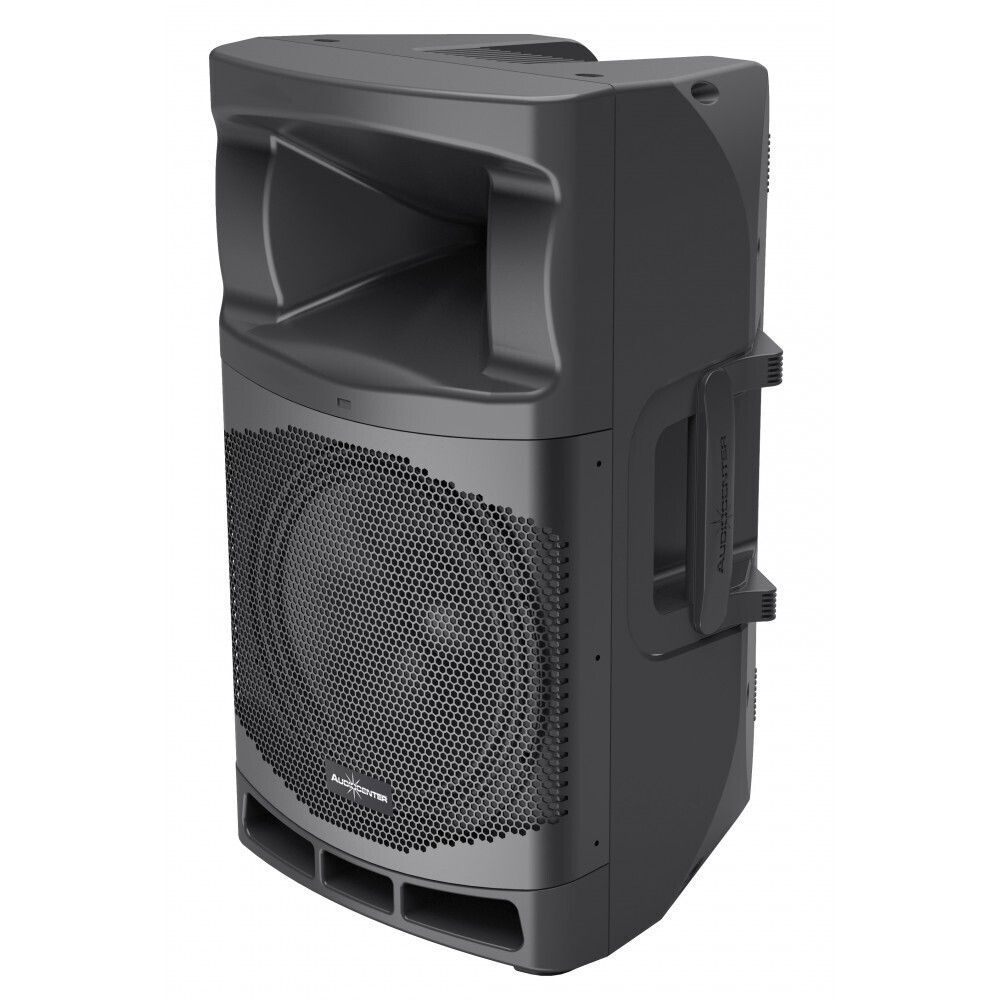 Audiocenter MA12 активная акустическая система в Пласте
