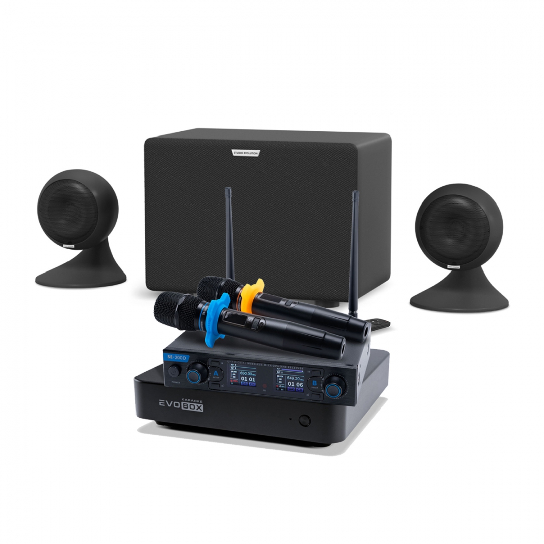 караоке-комплект EVOBOX + EvoSound Sphere 2.1 в Пласте