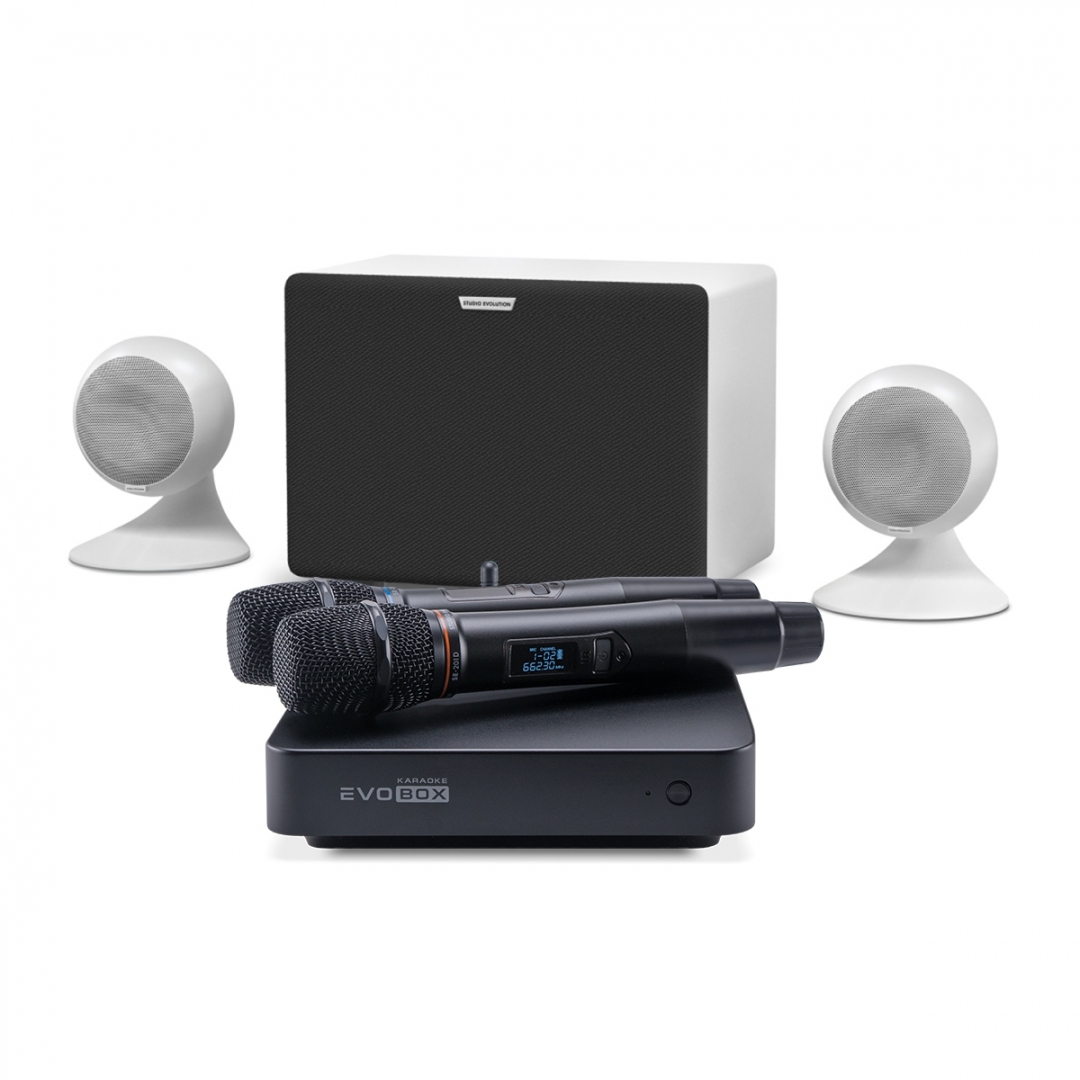 караоке-комплект EVOBOX Classic + EvoSound Sphere 2.1 в Пласте