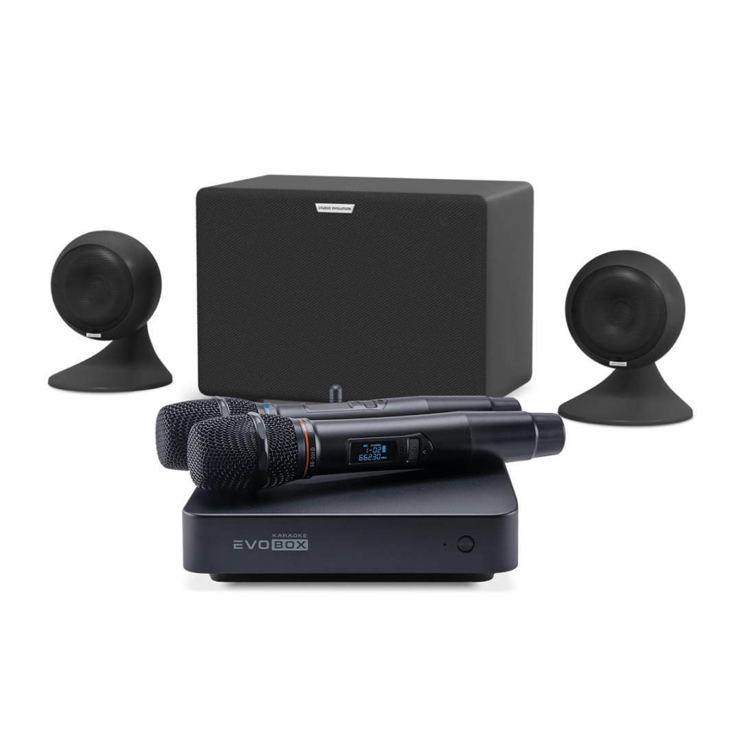 караоке-комплект EVOBOX Plus + EvoSound Sphere 2.1 в Пласте