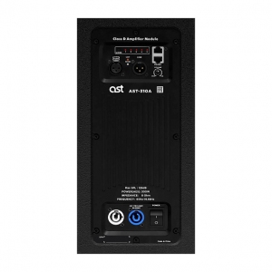 Активная акустическая система AST-310A в Пласте