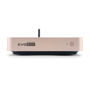 EVOBOX Classic караоке-система для дома в Пласте