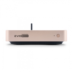 EVOBOX Plus караоке-система для дома в Пласте