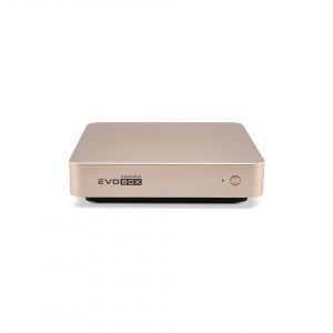 EVOBOX с микрофонами в Пласте