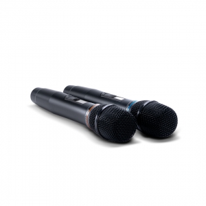 SE-200D цифровые микрофоны в Пласте